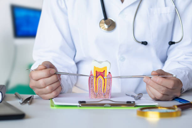 Best Walk-In Emergency Dentist in Westville, OK